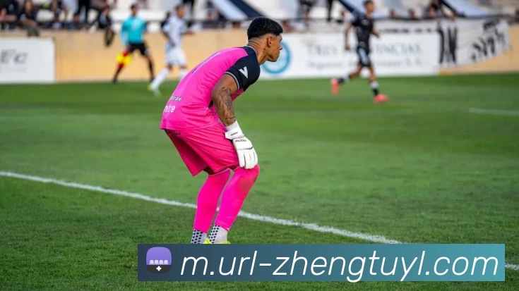 征途国际APP 高清赛事图